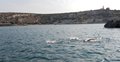 DSCN1451