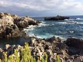 IMG-20170822-WA0001