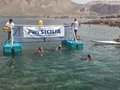 IMG_20170723_122441