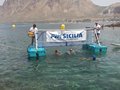 IMG_20170723_122438