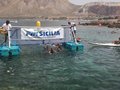 IMG_20170723_123320-(1)