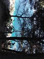 IMG_20170718_160902