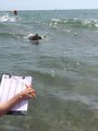 IMG-20170613-WA0092