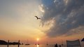 20170617_202541