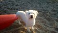 IMG-20170618-WA0013