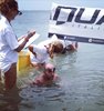 IMG-20170710-WA0052