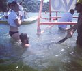 IMG-20170701-WA0083