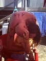 IMG-20170702-WA0005