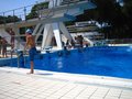 IMG_4205