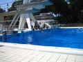 IMG_4220