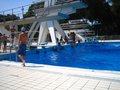 IMG_4206