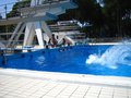 IMG_4219