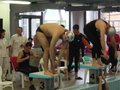 il pesce pilota (gardani)
