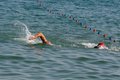 23-sprint vermigli