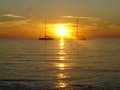 isola_del_giglio_2009_0084