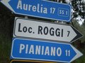 roggi2