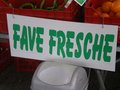 fave fresche 3