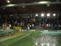 tribune 4