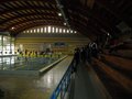 tribune