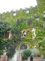 montalto 3