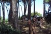 DSC01387