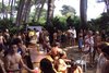 DSC01386