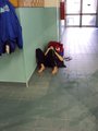 DSC00029