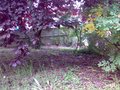 190620101785