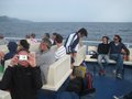 giglio 115