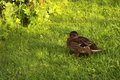 DSC01493