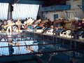 DSC00153