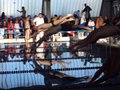 DSC00123