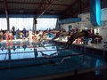 DSC00146