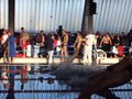 DSC00104