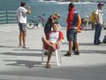 IMGP2818