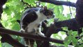 DSC02670