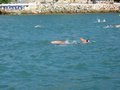 IMG_0014
