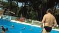 DSC02341