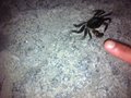 IMG_0925