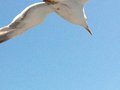 IMG_0914