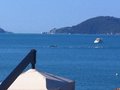 IMG_1506
