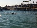 IMG_1541
