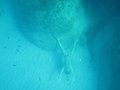 IMG_20693102172845