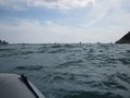 IMG_20438004394524