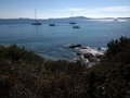 IMG_20307269195550