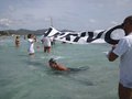 IMG_20590320953362