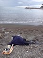 foto8