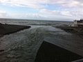 IMG_2290