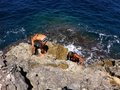 IMG_6693