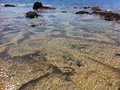IMG_6742